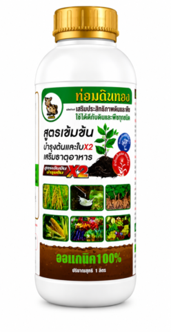 tomdinthong (1)