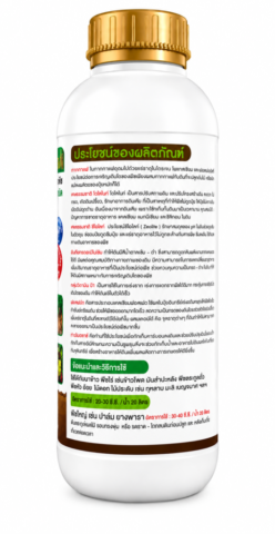 tomdinthong (4)