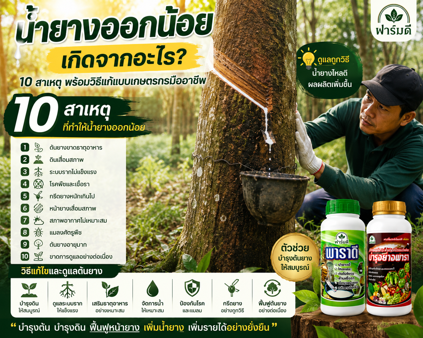 น้ำยางออกน้อย เกิดจากอะไร? 10 สาเหตุ พร้อมวิธีแก้แบบเกษตรกรมืออาชีพ