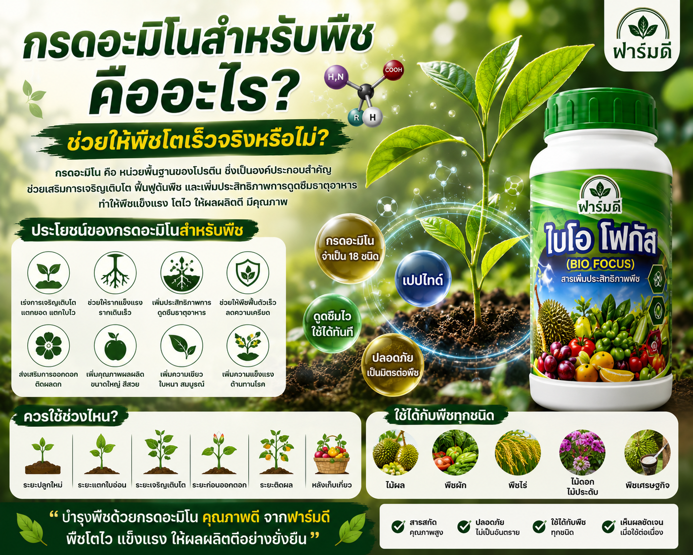 กรดอะมิโนสำหรับพืช คืออะไร? ช่วยให้พืชโตเร็วจริงหรือไม่